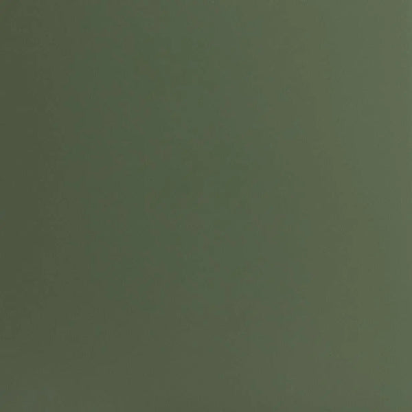Sage Green Swatch