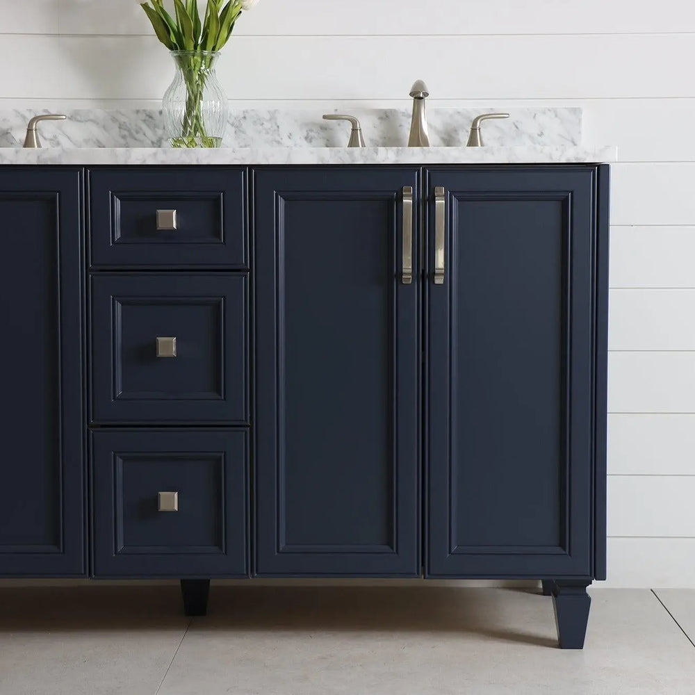 
                  
                    Davenport 60" Pacific Blue Bathroom Vanity, Double Sink
                  
                
