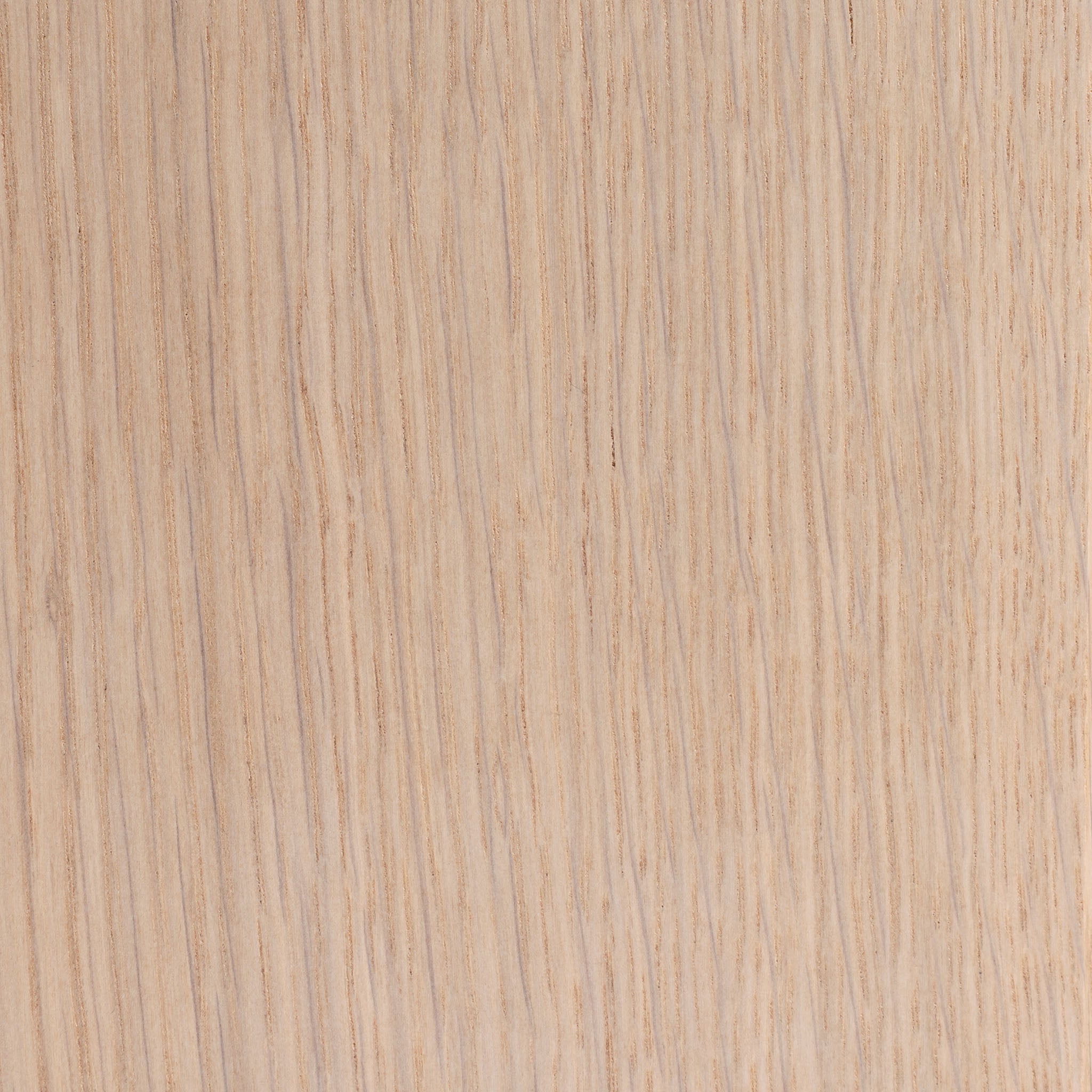Bridgeport/Cape Breton White Oak Swatch - Teodor Vanities – Teodor